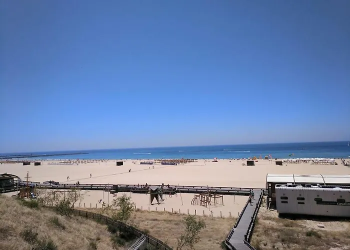 Sun Sight * Portimão